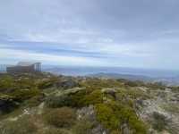 壯麗景色＋Zig Zag 探險 — 威靈頓山 Mount Wellington 一日遊體驗