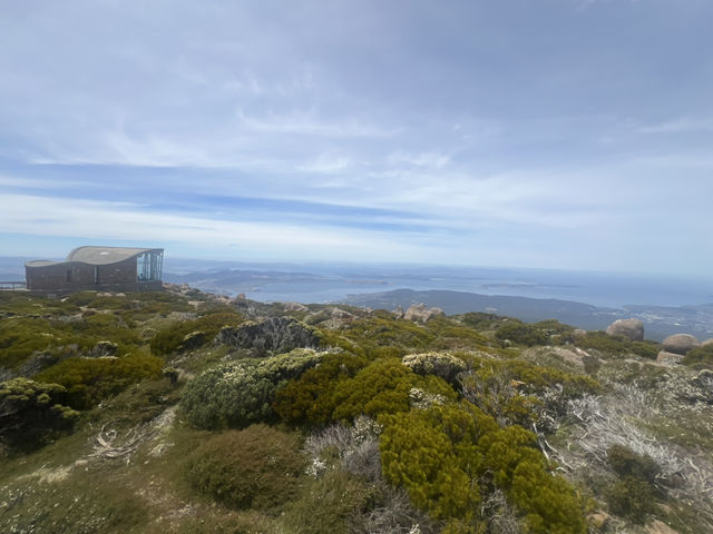壯麗景色＋Zig Zag 探險 — 威靈頓山 Mount Wellington 一日遊體驗
