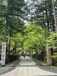 【福井×永平寺】空気が一変！深い緑に囲まれた参道