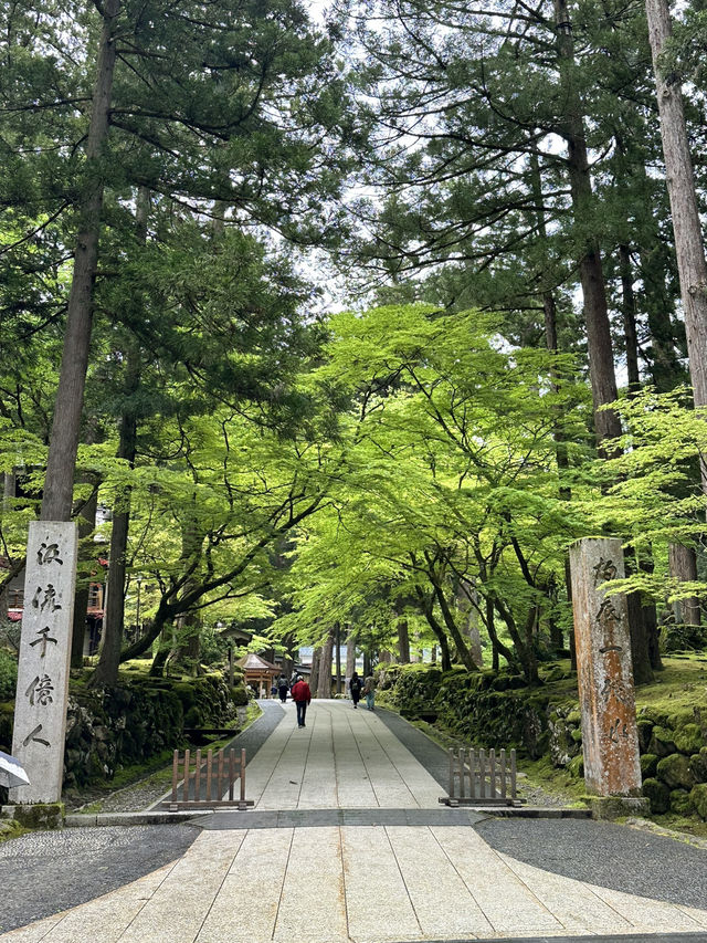 【福井×永平寺】空気が一変！深い緑に囲まれた参道