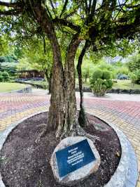 Perdana Botanical Garden: A Model of Sustainable Urban Green Space