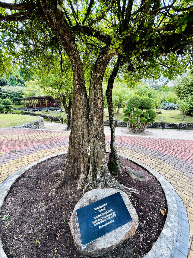 Perdana Botanical Garden: A Model of Sustainable Urban Green Space