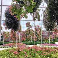 裕廊湖花園•熱帶奇花異卉