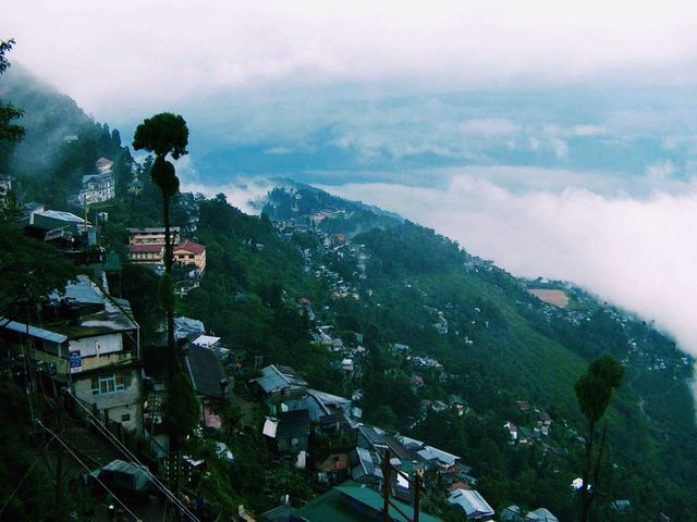 印度大吉嶺旅行攻略，適合打卡拍照📸