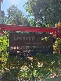 สักการะพระธาตุศรีสุราษฎร์