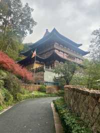 Jingci Temple: Echoes of Serenity Near West Lake 🍃🔔
