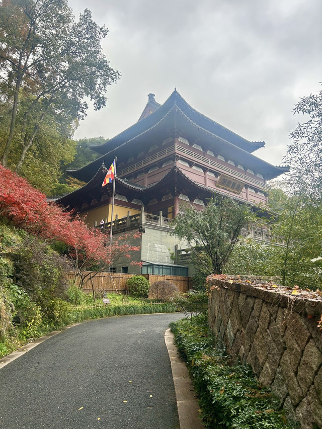 Jingci Temple: Echoes of Serenity Near West Lake 🍃🔔