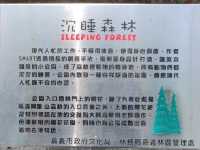 怎麼大家都睡著了？#沉睡森林-嘉義市東區