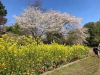 Mitsuike Park, Yokohama