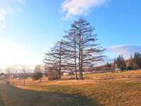 北海道旅遊🥳十勝之丘公園🔔音更花時計🕐欣賞日落風景🌅