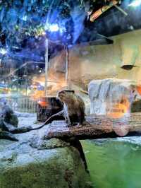 Aquaria KLCC