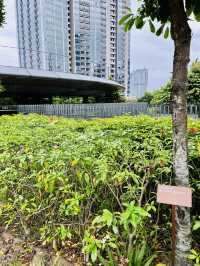 TRX City Park: A Serene Rooftop Oasis in the Heart of Kuala Lumpur 