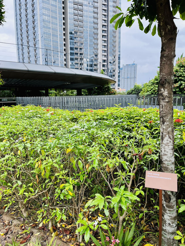 TRX City Park: A Serene Rooftop Oasis in the Heart of Kuala Lumpur 