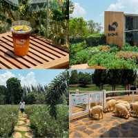 7 จุดเช็คอินที่เขาใหญ่ 🌳