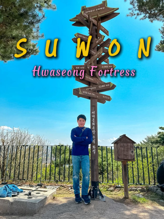 Scenic Spots in Suwon for Sakura Viewing!