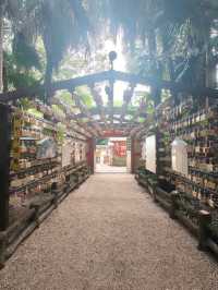 What you can do with 3 days at Miyazaki, Japan