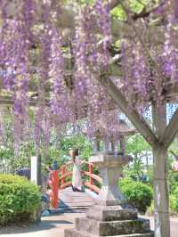 【福岡】福岡県南部を巡る1日日帰り旅