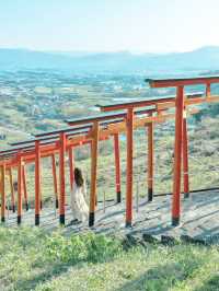 【福岡】福岡県南部を巡る1日日帰り旅