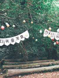 🌿 제주도에서 자연을 만끽할 수 있는 여행 코스