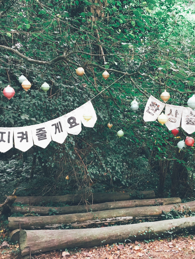 🌿 제주도에서 자연을 만끽할 수 있는 여행 코스