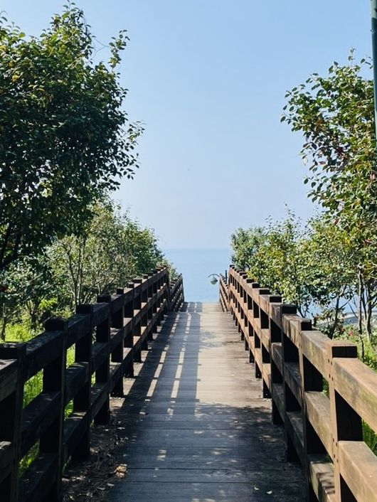Panoramic Spring Vistas: Ascending the Volcanic Beauty of Beritnae Oreum, Jeju