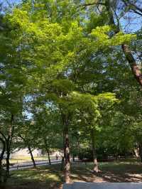 🇰🇷ソウル世界遺産