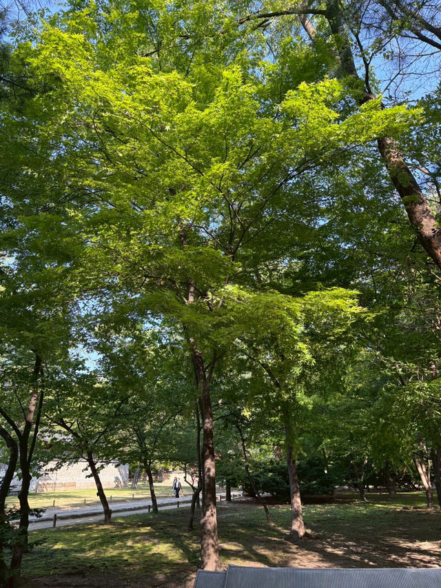 🇰🇷ソウル世界遺産