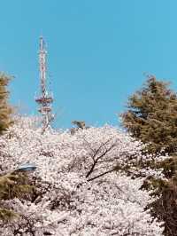 A Pink Embrace Above the at Subong Neighborhood Park