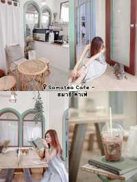 มัดรวมคาเฟ่สำหรับทาสแมว  พาไปคาเฟ่เด็กเอนฯ🐈