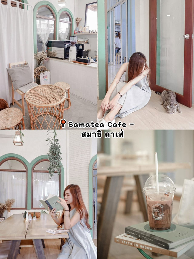 มัดรวมคาเฟ่สำหรับทาสแมว  พาไปคาเฟ่เด็กเอนฯ🐈
