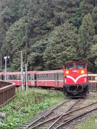 # 阿里山車站-嘉義縣阿里山鄉