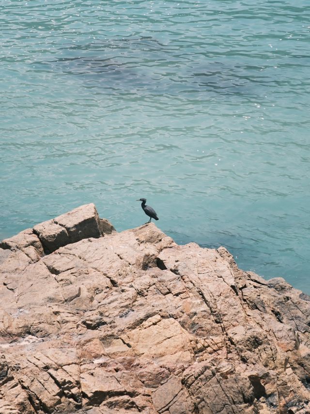 🌊香港大浪灣泳灘｜衝浪愛好者必去！絕美海景+滑浪體驗🏄‍♀️