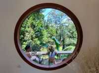 Hug Kapong Cafe คาเฟ่กะปง พังงา