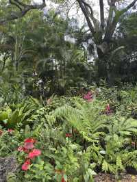 香港｜香港動植物公園