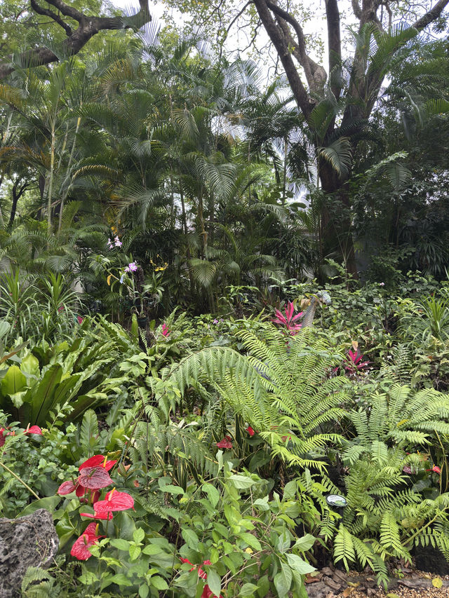 香港｜香港動植物公園
