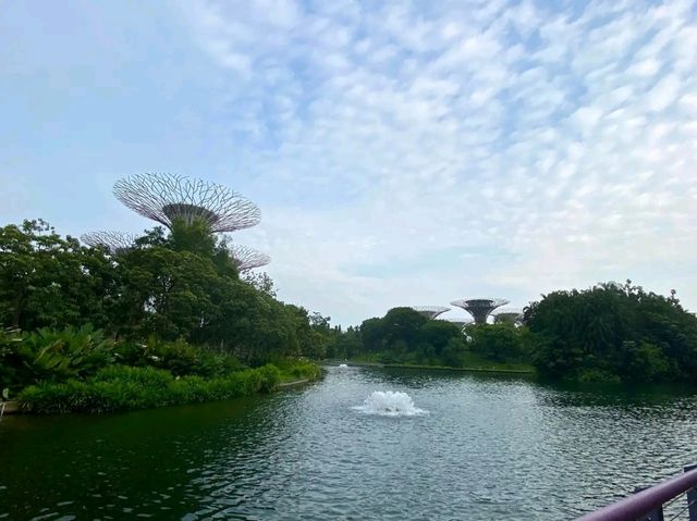 A Walk Through the Future: Exploring Gardens by the Bay, Singapore