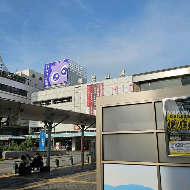 🪷春夏之鄉 - 和歌山市3日遊