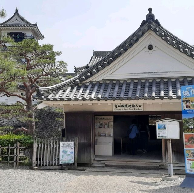 Kochi Castle: A Timeless Beauty