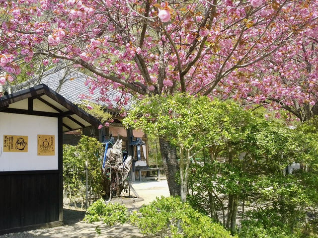 Step Back in Time at Edo Wonderland