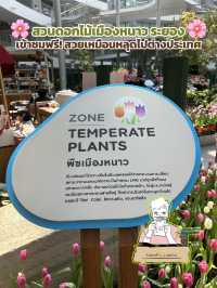 🌸 สวนดอกไม้เมืองหนาว ระยอง 🌸 เข้าชมฟรี! 