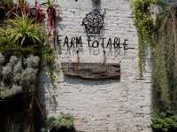  ร้าน Farm to Table Hideout  ร้านลึกลับใจกลางกรุง