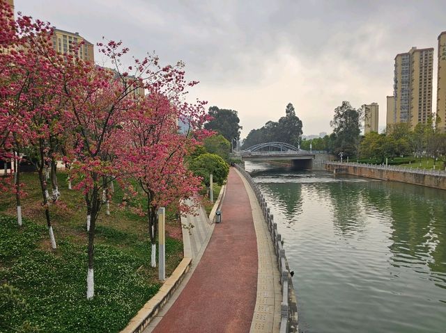 Kunming Waterfall Park