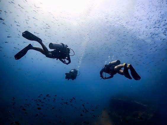 Scuba diving- ดำน้ำลึก ดูปะการัง ที่เกาะเต่า