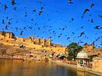 Amber Palace: A Royal Dream in the Hills of Jaipur