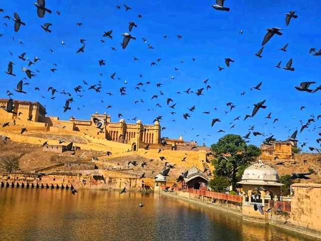 Amber Palace: A Royal Dream in the Hills of Jaipur