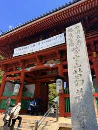 大阪｜到葛井寺看紫藤白藤 1300年11面千手觀音神像近距離參拜