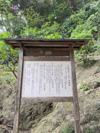 江島神社的洗錢大法⛩️