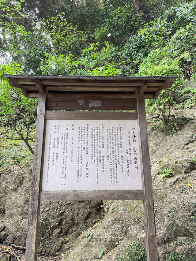 江島神社的洗錢大法⛩️