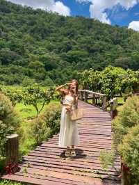 คาเฟ่เขาใหญ่ท่ามกลางภูเขา🌳🪵
