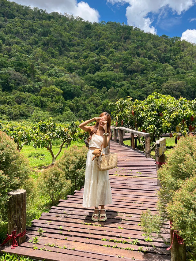 คาเฟ่เขาใหญ่ท่ามกลางภูเขา🌳🪵